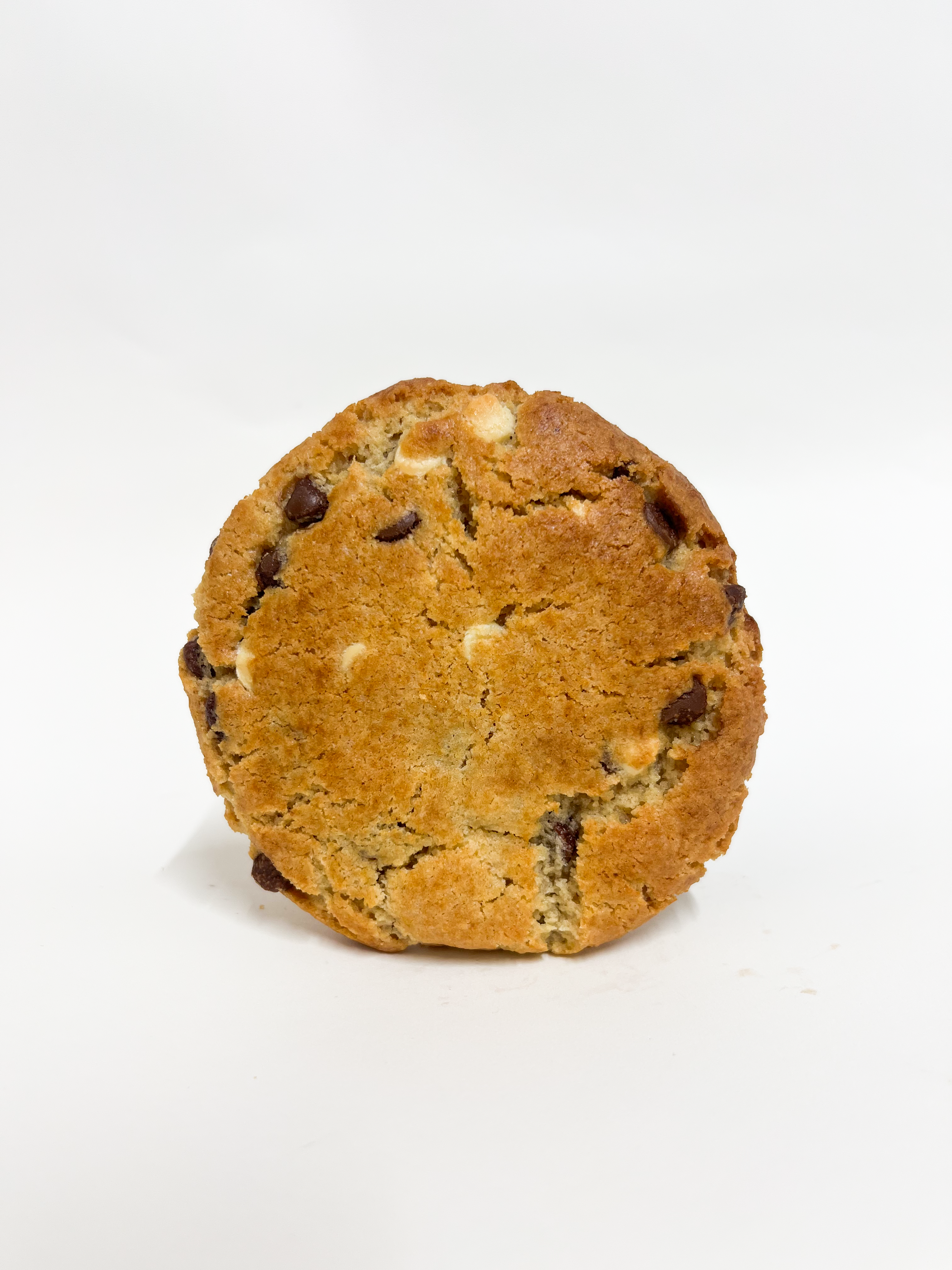 Classic Chocolate Chip Cookie